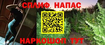 гидра Лесосибирск